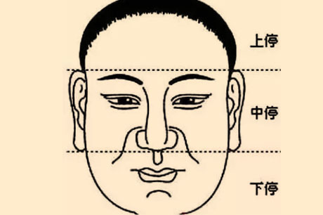 面相三停看你一生财运趋势，面相图解三停发财趋势变化