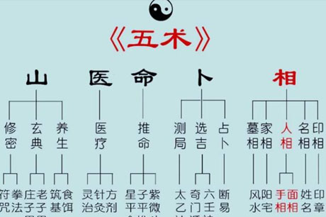 玄学五术：山医命相卜，传统数术、五术源于周易的阴阳哲学思想