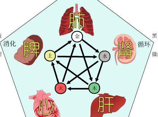 《内经•素问》与《周易》：术数者,保生之大论