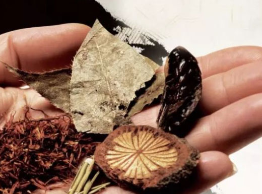 权衡用药，贵在适中 凡治病服药,必知时禁、经禁、病禁、药禁