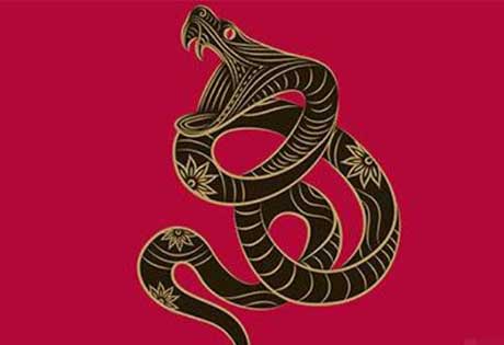 五行看命，你在其中。易经探测不同五行属蛇的人会经历怎样的性格及命运
