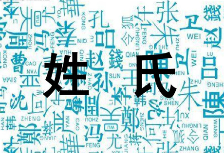 姓氏的演变：从姓氏的发展演变史考察，中国姓氏数目总的呈递减趋势