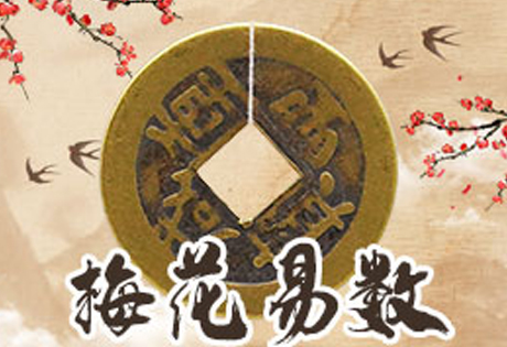 占卜总诀:梅花易数中的风觉占、鸟类占、声音占