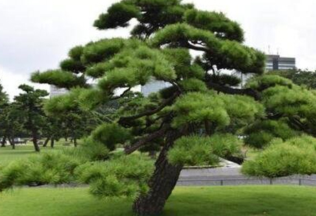 住宅不宜对着地下通道，不宜在喷水池旁，不宜在大海旁，住宅前适当种些树木，可以藏风聚气