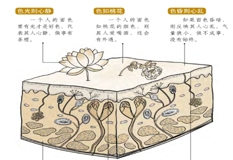 面相图解：无忧似忧，享乐半生；面似橘皮，终生贫困；神似桃花，生子较晚