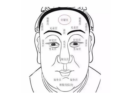 面相图解：五短形相的人富贵；手脚粗大的人难富贵；手掌绵软的人多福禄