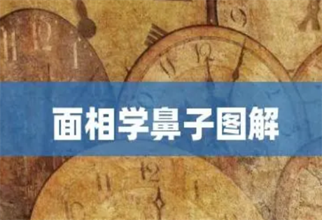 鼻子形相可断吉凶？如何从鼻子的形相上来判定吉凶？