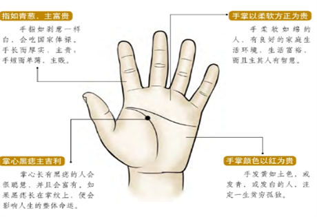 手相图解:纹理不同，福寿各异；四季色；拜相纹；带印纹；兵符纹