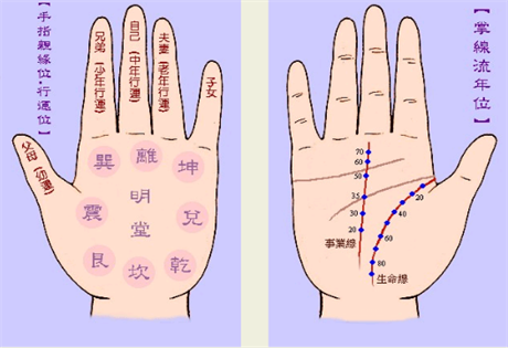 手相图解：气色在于掌心；一观为定，久看则昏；相掌妙诀，只在观形察色。