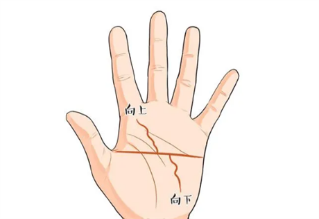 手相图解：相掌中有无纹理的命运；:断纹性难理，高强起伏低；言多招怨恨，朋友不相宜
