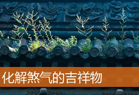 如何化解路冲煞、尖角煞、家宅对着电梯的开口煞、刀刃煞出现在停车棚、楼房的壁刀煞?