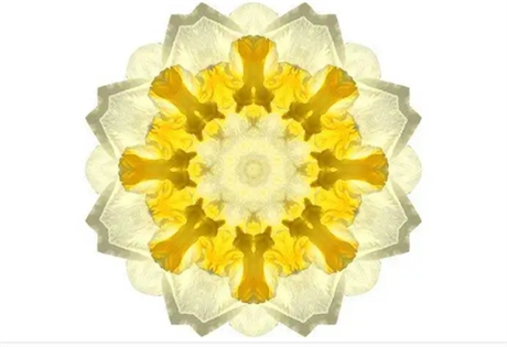 密召咒——偏重司于天官的度生注死作用；化形咒——愿志心修行者,日诵此咒,早日如愿