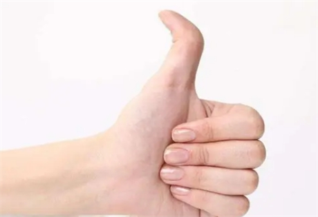 大拇指司掌人的本命，大拇指长而粗的人有什么性格?