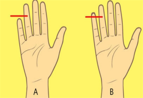 小指的长短表示什么?如何看小指的指节?怎样看小指的长短?