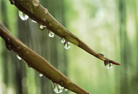 六爻预测天时实例：中秋节准备结婚怕下雨；父化财先雨后晴迎佳宾