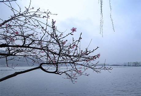 什么是三合日？择日怎样利用三合吉日？来听周易为你详解