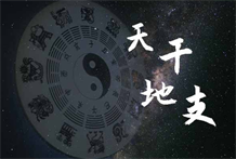 天干地支宇宙中事物变化的载体；天干地支是中国古代用来计算历法的一套符号，是演算宇宙万物变化的重要依据