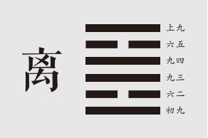 彖曰：离，丽也。日月丽乎天，百谷草木丽乎地。重明以丽乎正，乃化成天下。柔丽乎中正，故亨。是以畜牝牛吉也。