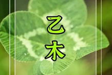 天干性情含义：八字日主乙木，乙木日干八字喜忌分析