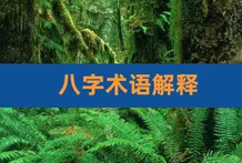 八字专业术语解释（二）：羊刃、禄、驿马、贵人、小人、通根、截脚