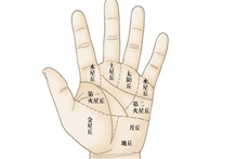 看手掌：手掌中九个掌丘各代表什么？九个掌丘间的配比关系是怎么样的？