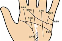 看掌纹：掌纹对判断运势吉凶是有重要作用的，掌纹也是在不断变化的，掌纹变化特征有哪些
