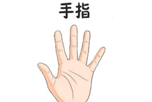 手指预测：手指对运势有什么样的影响？掰开手指，细细数来