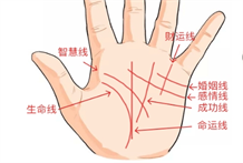 手相学：男左女右的理论在中国广为盛行那么看手相是看左手还是右手？
