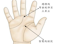 手相图解：哪些机敏的活动家、具有行动力的个性派的人具有什么样的手相