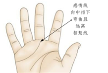 手相图解：温和的稳重派的人手相具有哪些特点