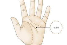 掌纹诊病：如何通过智慧线纹路来预测人的身体健康情况