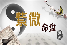 太阳星坐守酉宫以及守命平势的星曜布局