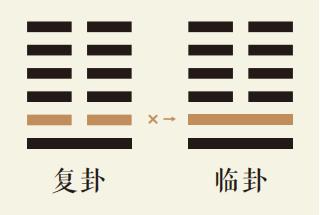 复卦二爻动详解：地雷复卦第二爻详解、地雷复卦变地泽临卦、复卦智慧古人用易