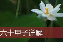 六十甲子特性解析：甲子乙丑海中金、壬寅癸卯金箔金、庚辰辛巳白镌金