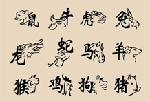 十二生肖酉鸡：什么是“五行水鸡命”?