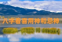 金象，乃杀害物命之象，如果是满局金气兼带凶煞等神刑克者，我如果不杀害他人，必被他人所刺杀