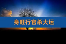 男子的命局中有官星和七杀，但能保持中和状态，他会有儿子