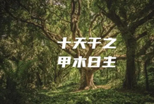论十天干宜忌之甲木宜忌：甲木为阳性之木， 如同参天大树，但要成 为栋梁，必须受到“金 的砍伐