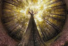 关于地道的理解，一种是五行之气的联系，一种是八字的地支，地支和天干的排列组合