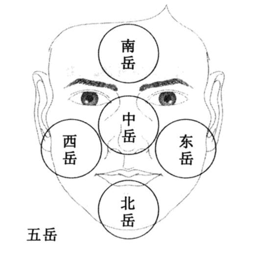 从面相看你一生有多少财富?面相五岳图解看一生财运多少?