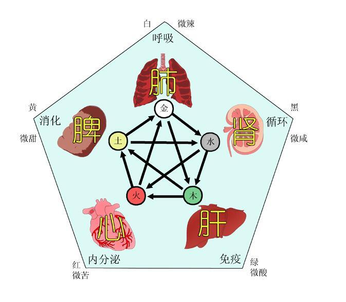 《内经•素问》与《周易》：术数者,保生之大论