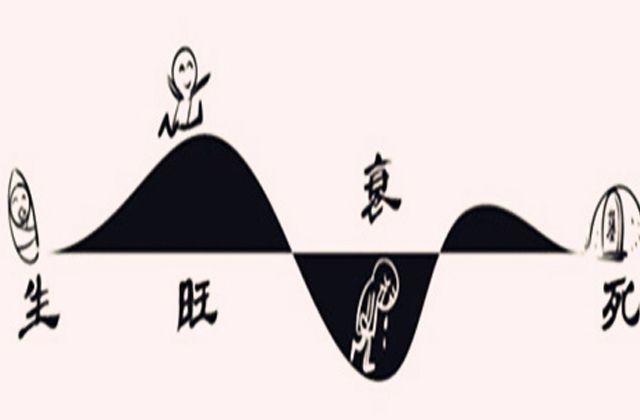 贵神主人贵，若命中无德无贵人，则是平庸之辈，一生不显贵