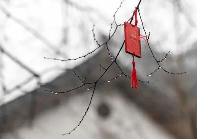唯有圣人之观物，才能表里洞照，全面地认识事物的本来面目