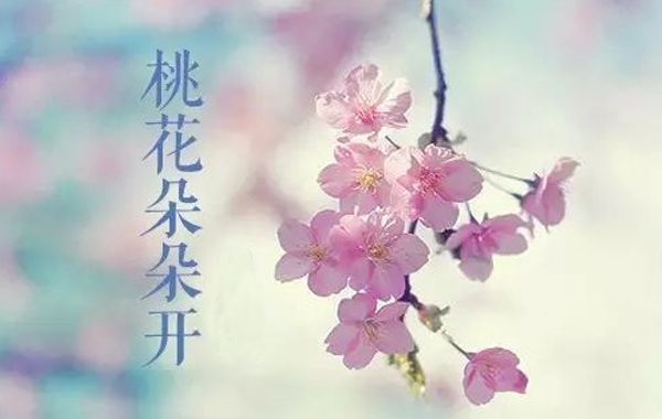 星曜介绍：与财富有关的星曜和与桃花有关的星曜，各有功能和特点