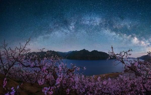 紫薇星耀化忌入十二宫之入命宫的性格、外貌、运气的详细分析（一）