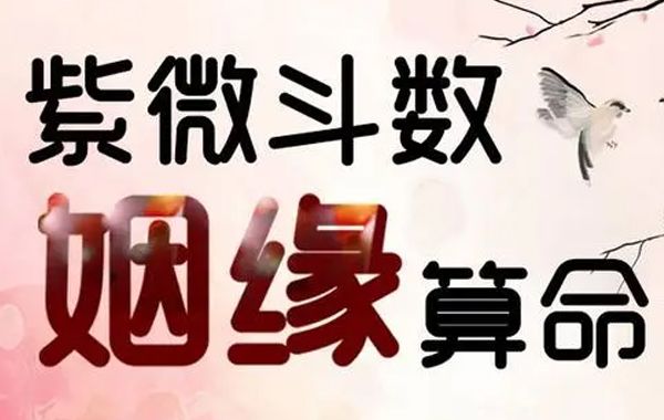 紫微斗数看婚姻的好坏，主要是根据命盘中夫妻宫及其三方四正星性的吉凶好坏来推断