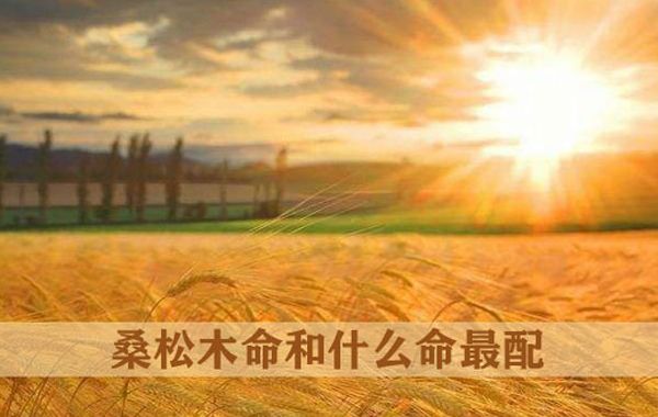 紫薇斗数根据命宫中的主星的推断择偶：紫微入命的男性喜欢有才华和涵养的女性