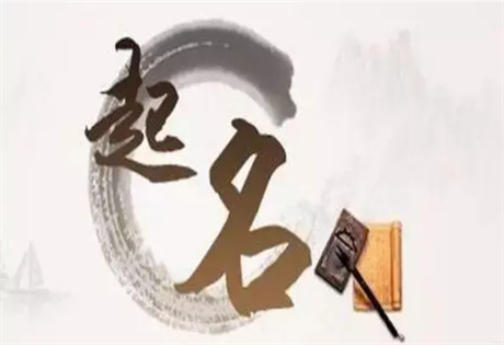独属于中国人浪漫的取名方式之以个人癖好取名案例分享