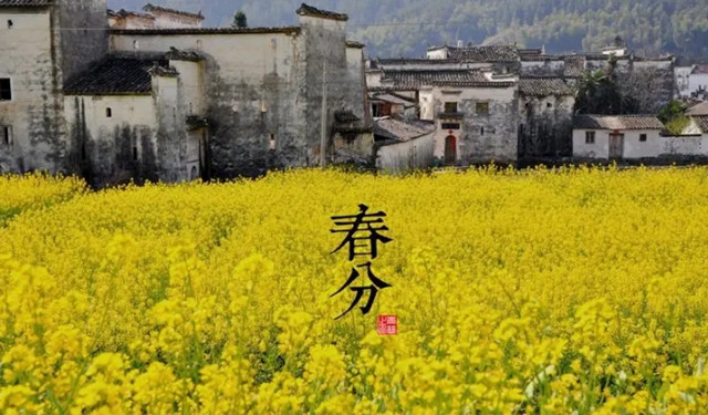 二十四节气的农业气象学意义：通过二十四节气了解气象条件的变化以及它与农业生产生活的全息关系