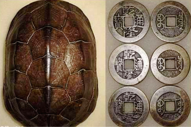 盘点中国上古神兽之灵龟，灵龟的寓意是什么